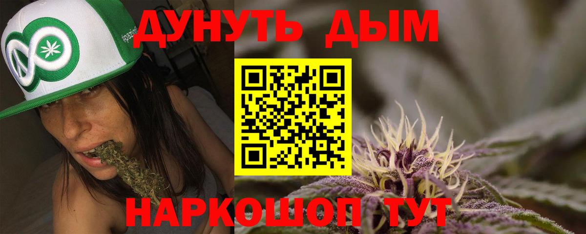 Конопля гибрид  Конопля семена  Павлово  Каннабис Bruce Banner  Вход с VPN 